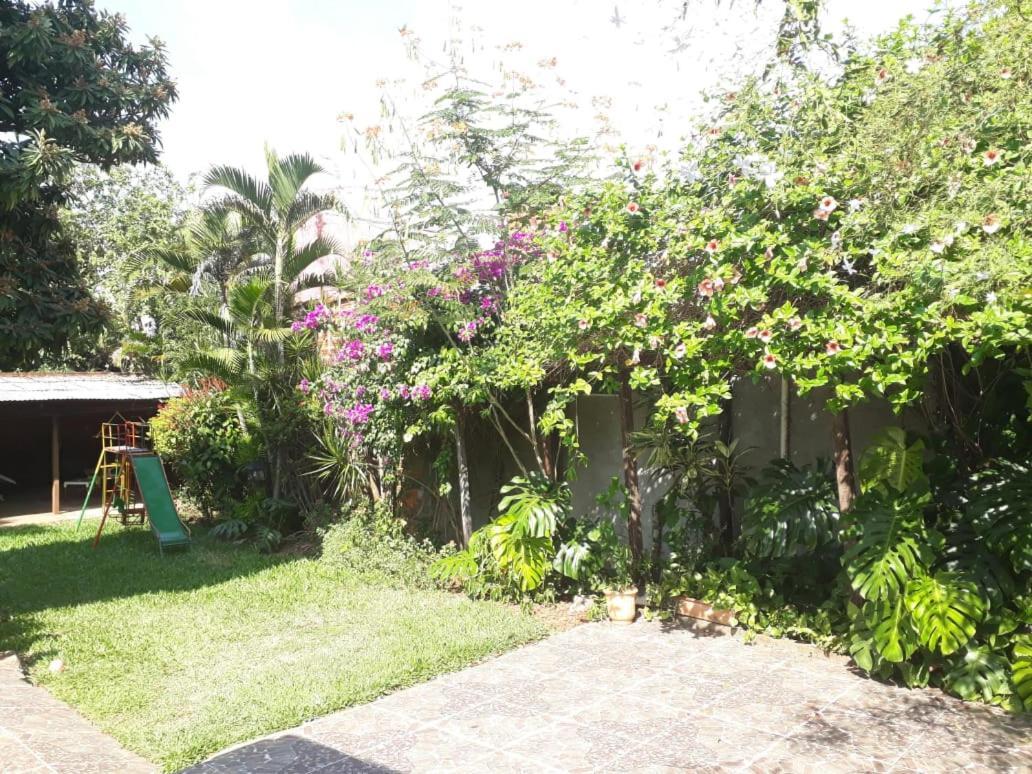 Casa De La Y - B&B Encarnación Extérieur photo