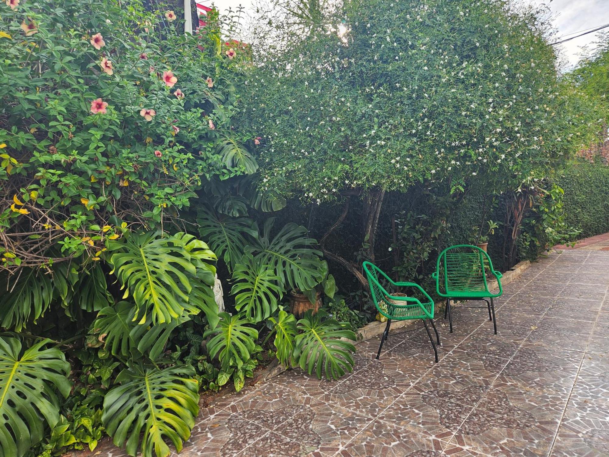 Casa De La Y - B&B Encarnación Extérieur photo